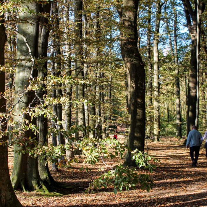 Spaziergang Ruhewald im Solling Rittergut Friedrichshausen