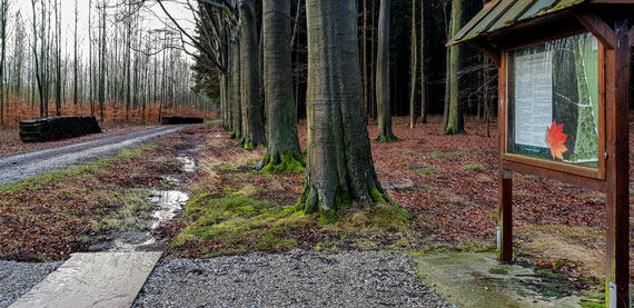 Anfahrt 4 Ruhewald Solling